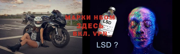 винт Алзамай
