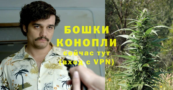 винт Алзамай
