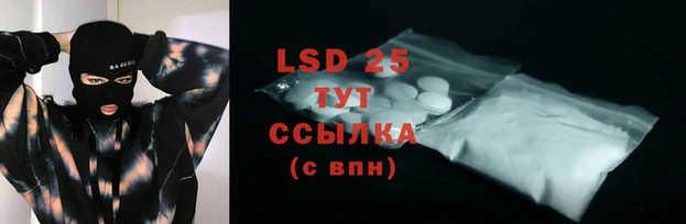 винт Алзамай
