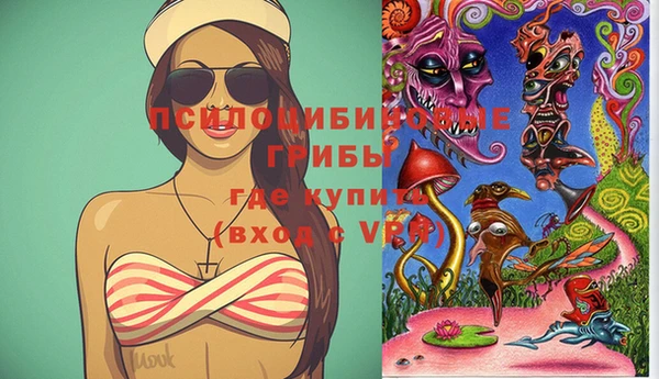 винт Алзамай