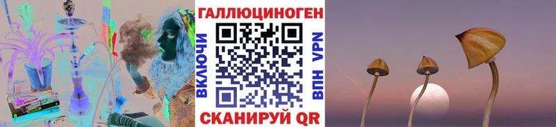 Галлюциногенные грибы GOLDEN TEACHER  как найти закладки  Андреаполь 